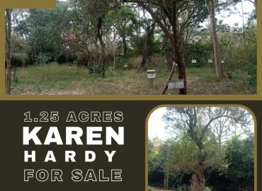 House/Land to sell and rent