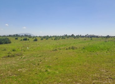 JUJA CREEK – 50 by 100 plots for sale – JUJA